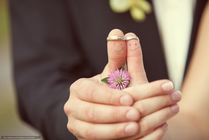 Fingers with Rings and Flower — Pink, Romantic, Photograph
