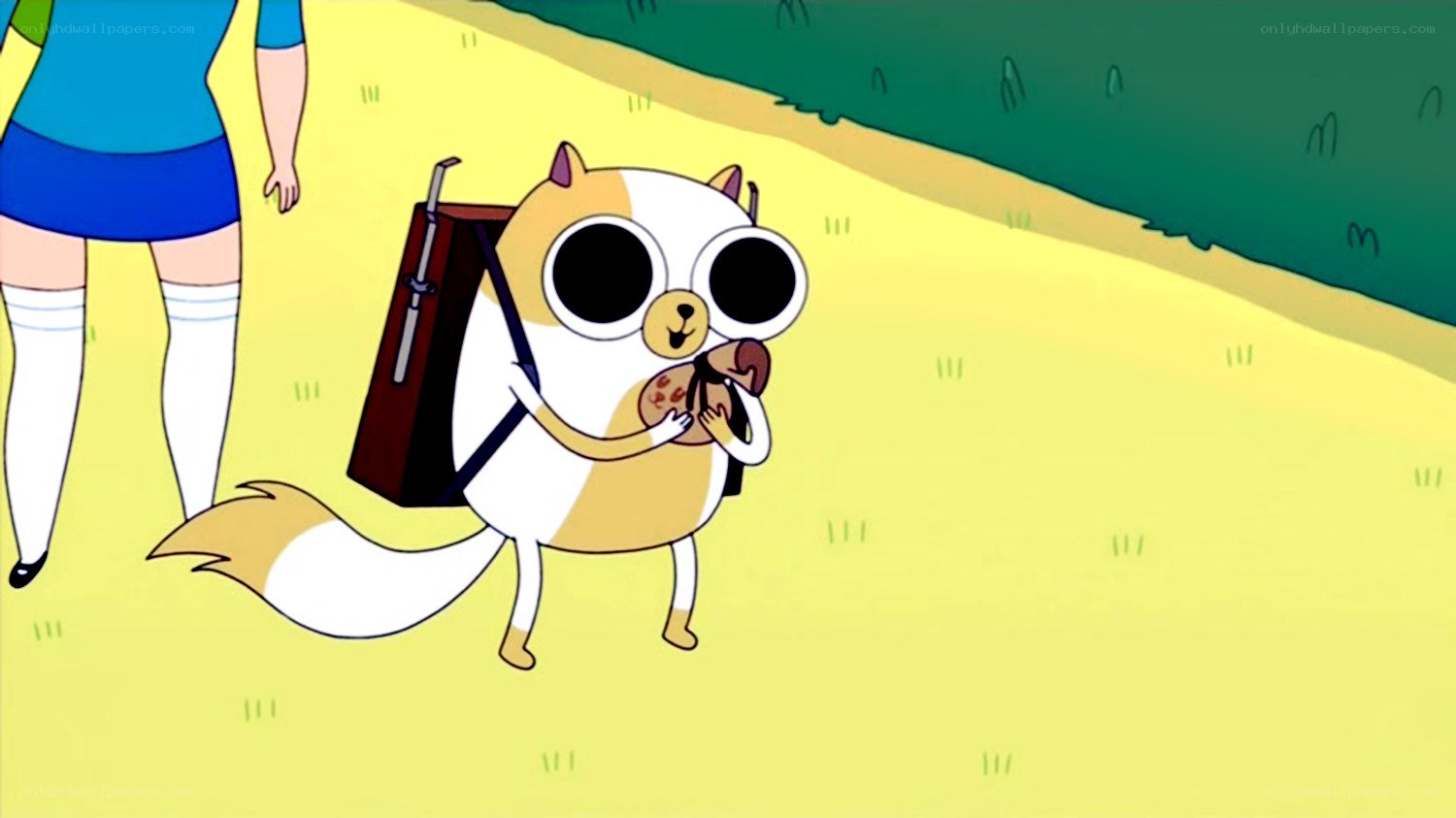 Finn and Jake on a walk