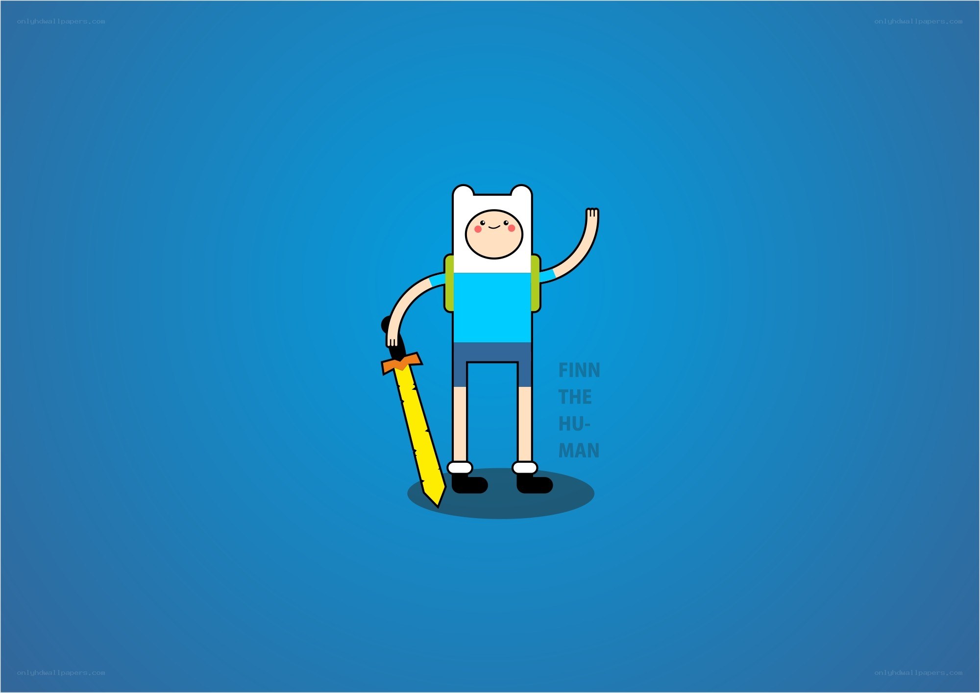 Finn the Human character
