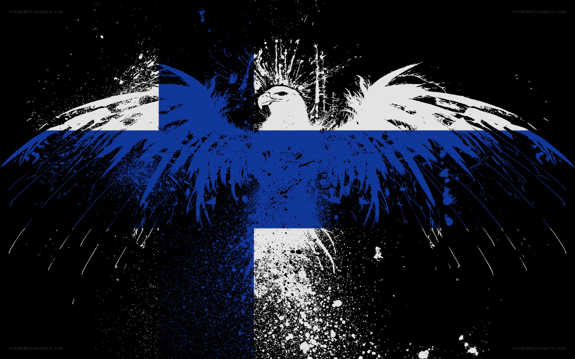 Finnish flag eagle art