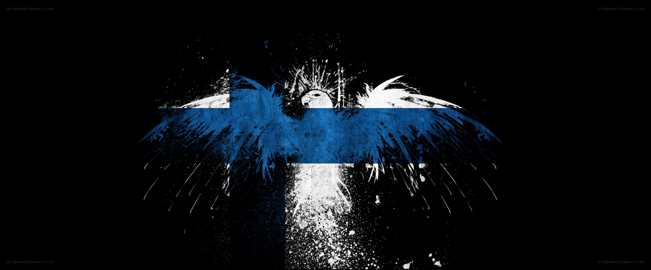 Finnish flag with eagle art