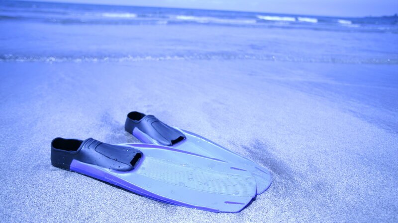 fins on the beach
