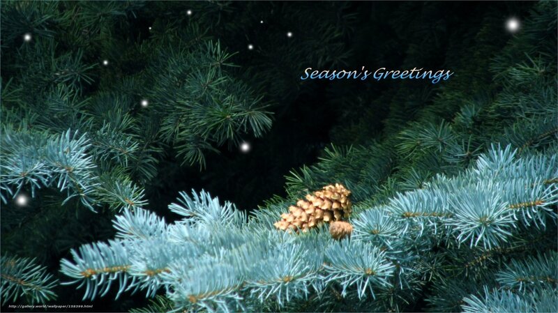 Fir branches with pinecones