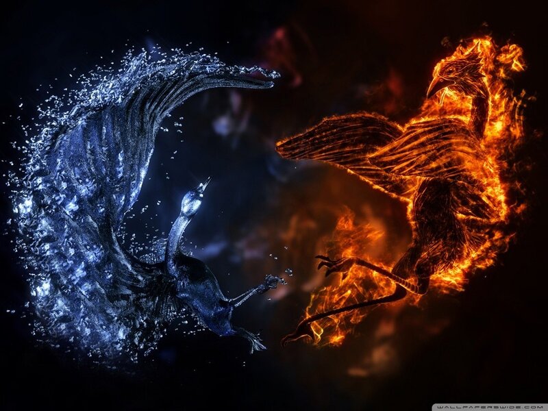 Fire and Water Birds — Black, Dramatic, Digital Art, Flame, Bird, Blue