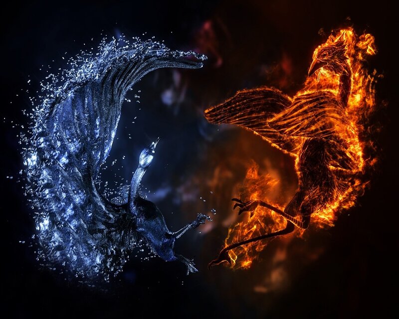 Fire and Water Birds — Black, Dramatic, Digital Art, Flame, Bird