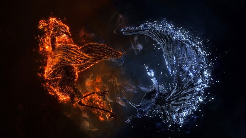 Fire and Water Birds — Black, Dramatic, Digital Art, Flame, Dark Background