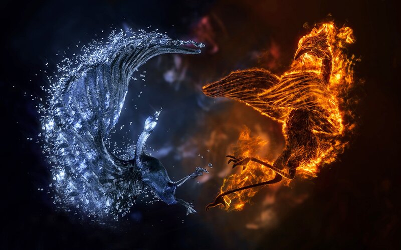 Fire and Water Birds — Black, Dramatic, Digital Art, Flame