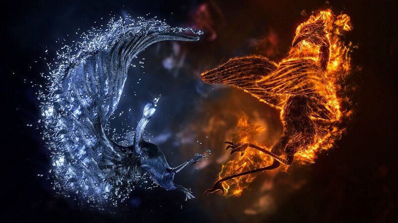 Fire and Water Birds — Black, Dramatic, Digital Art