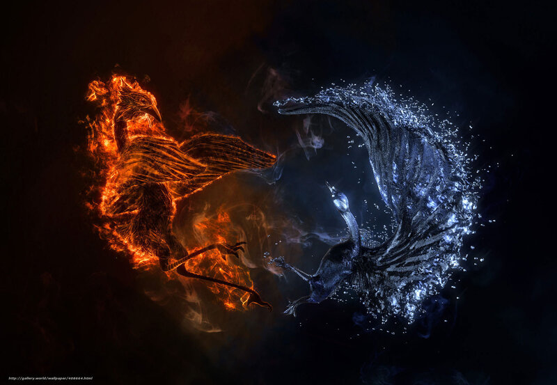 Fire and Water Birds — Black, Dramatic, Night, Digital Art