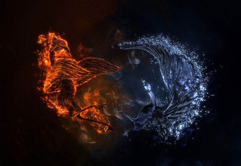 Fire and Water Birds — Black, Dramatic, Night
