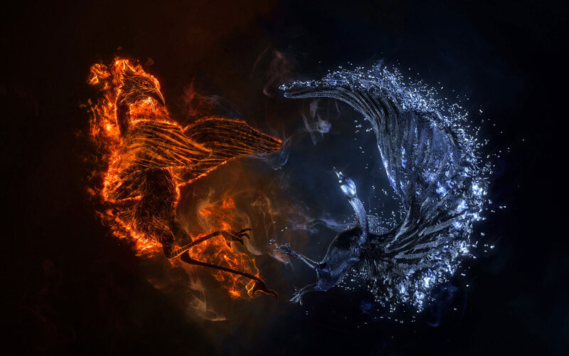 Fire and Water Birds — Black