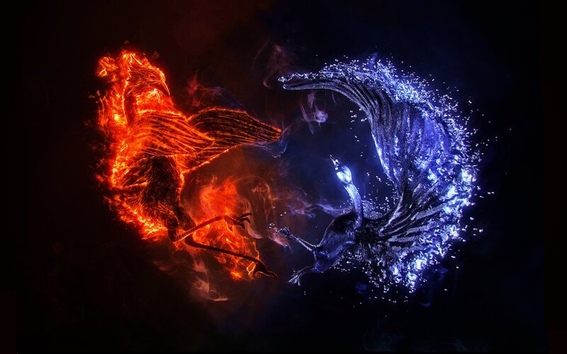 Fire and water birds in conflict