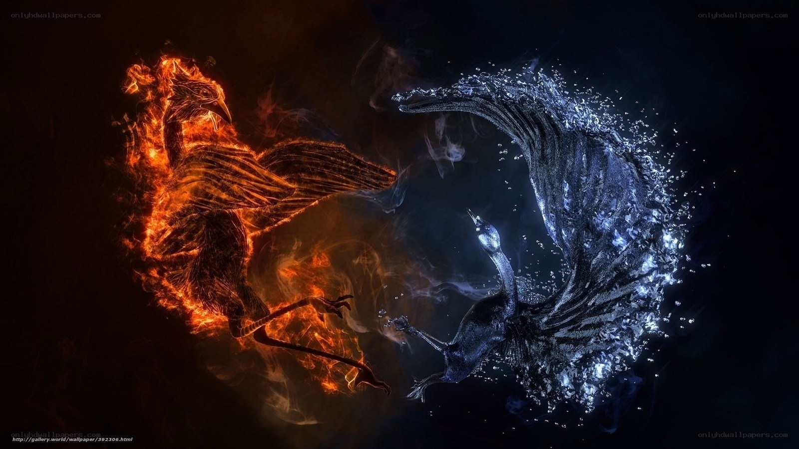 Fire and water birds