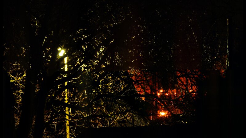 Fire Behind Trees