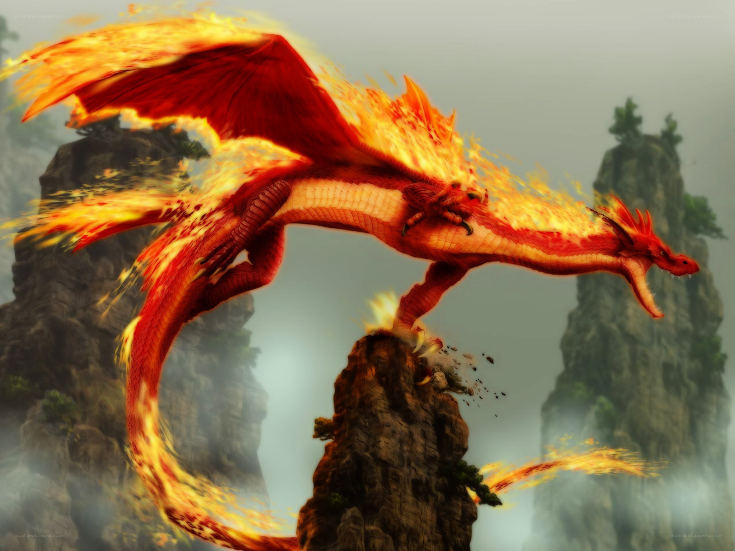 fire-breathing dragon in mountains