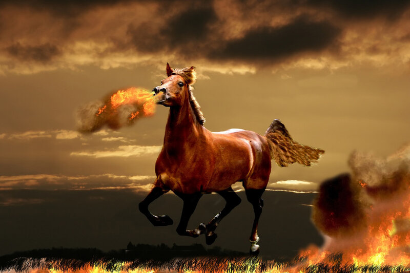 fire-breathing horse galloping