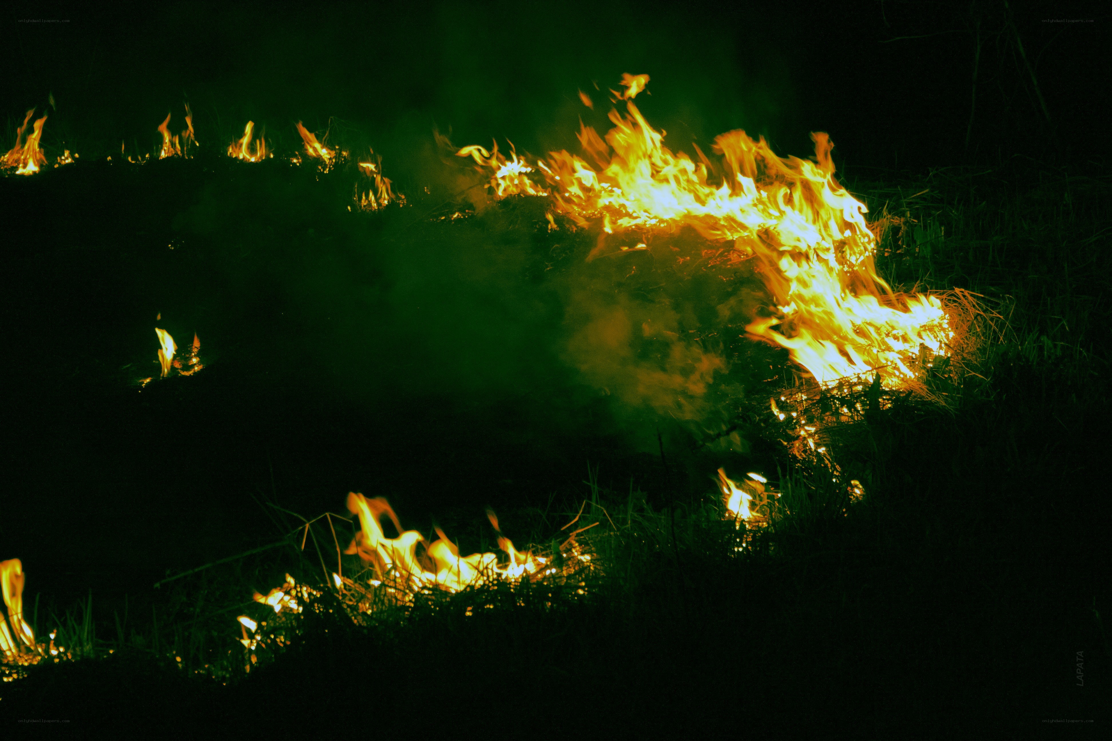 Fire burning in a field