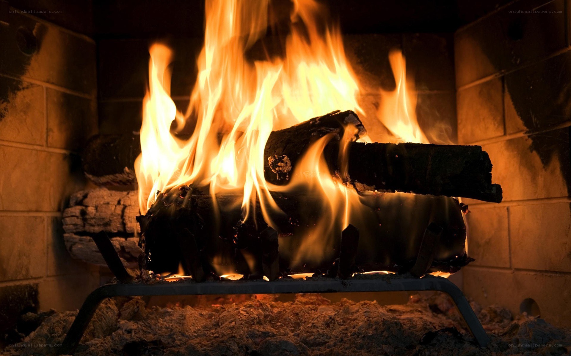 fire burning in a fireplace