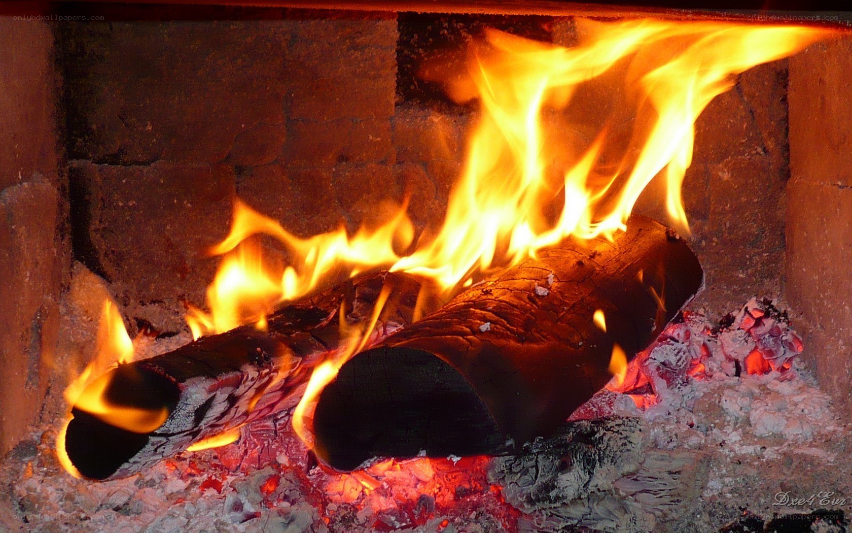 Fire burning in a fireplace
