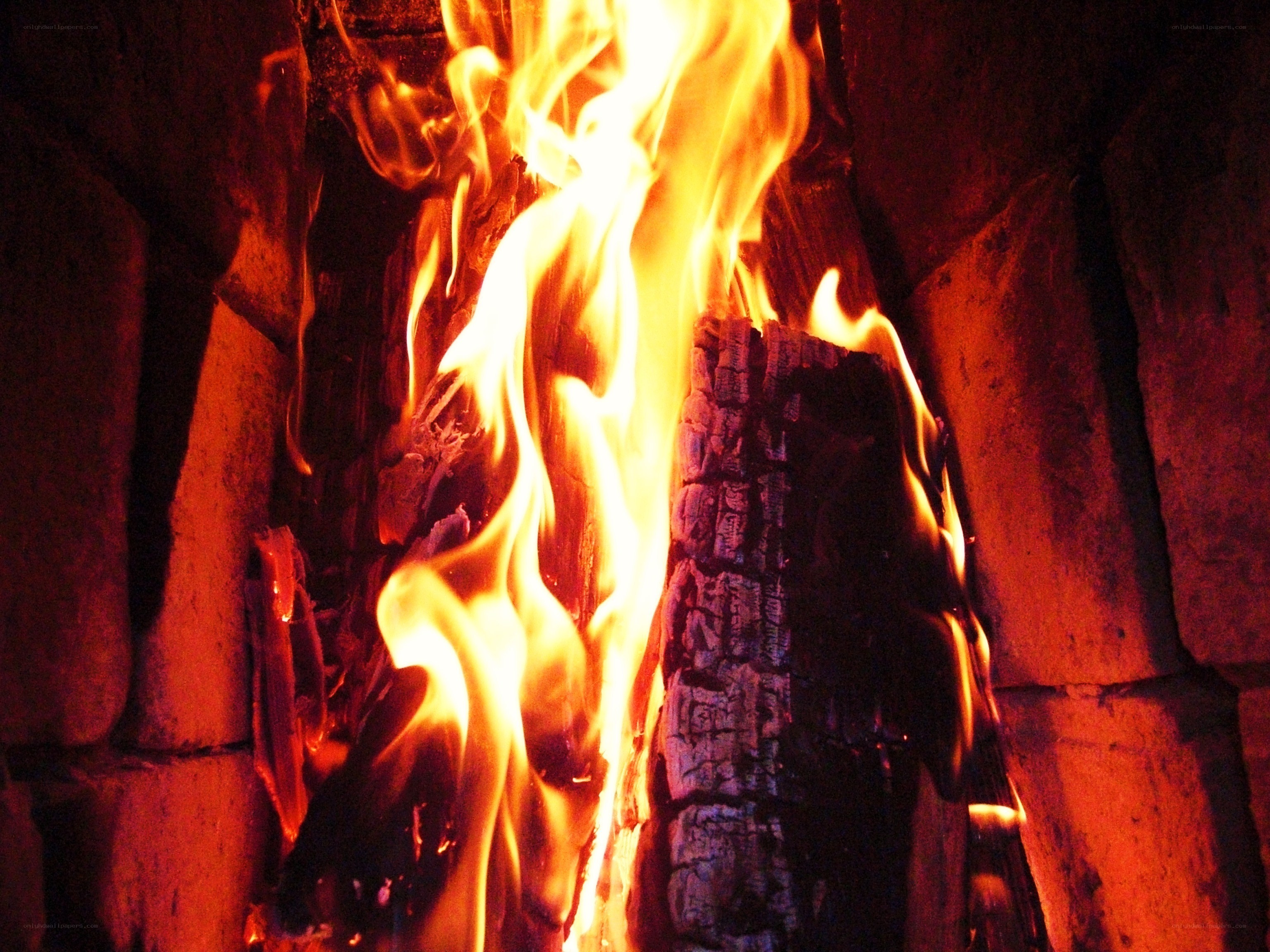 Fire burning in a fireplace