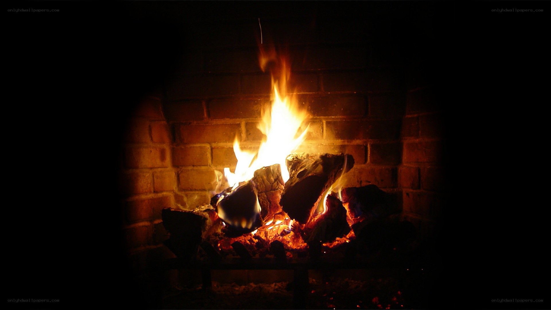 fire burning in a fireplace
