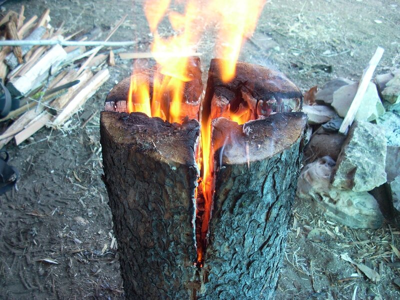 fire burning in a log