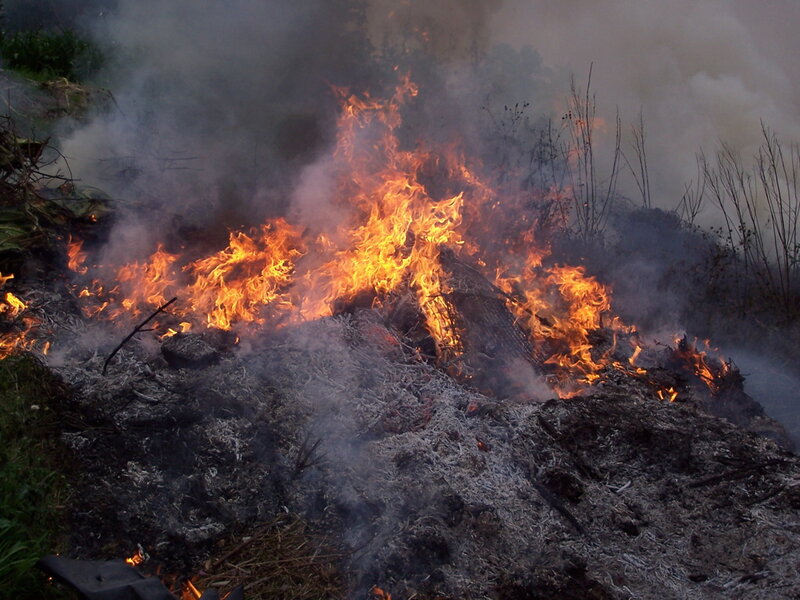Fire Burning in Brush