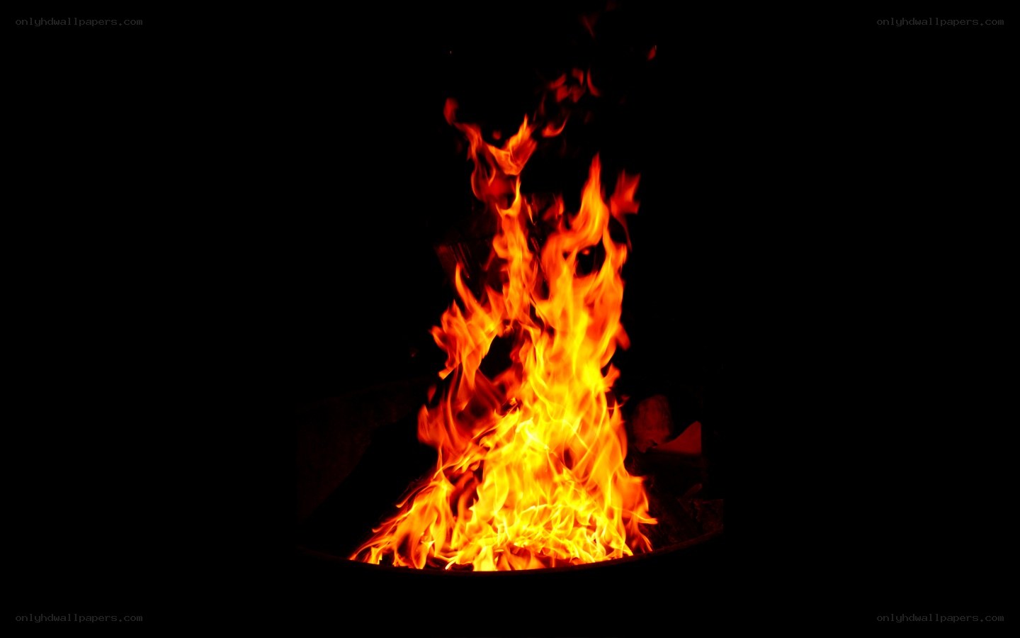 fire burning in darkness