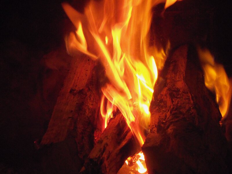 Fire Burning in Logs