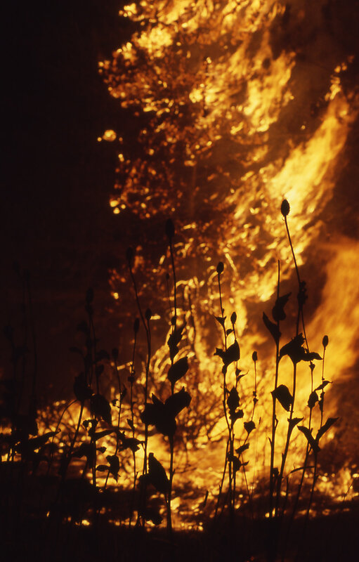 Fire burning in the night