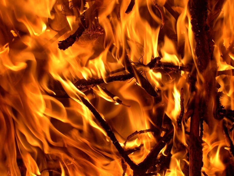 Fire Burning Wood