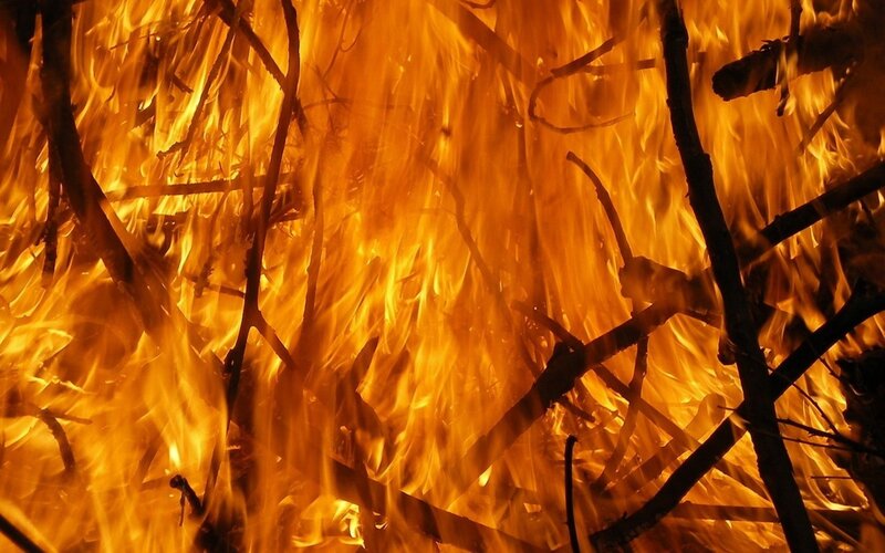 Fire Consuming Branches — Orange, Intense