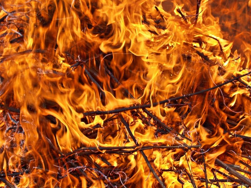 Fire Consuming Dry Branches — Orange