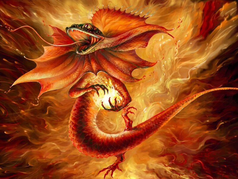 Fire Dragon in Flames — Red, Dramatic