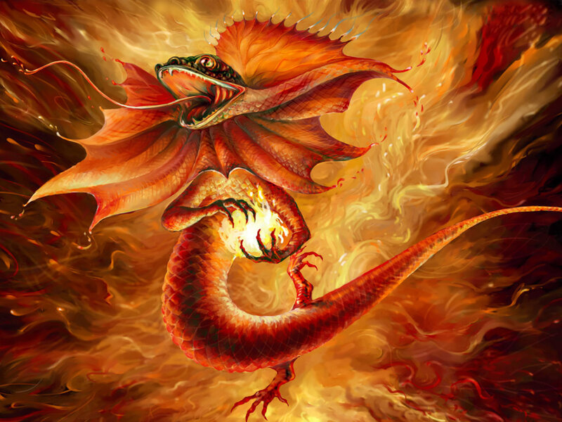 Fire Dragon in Flames — Red