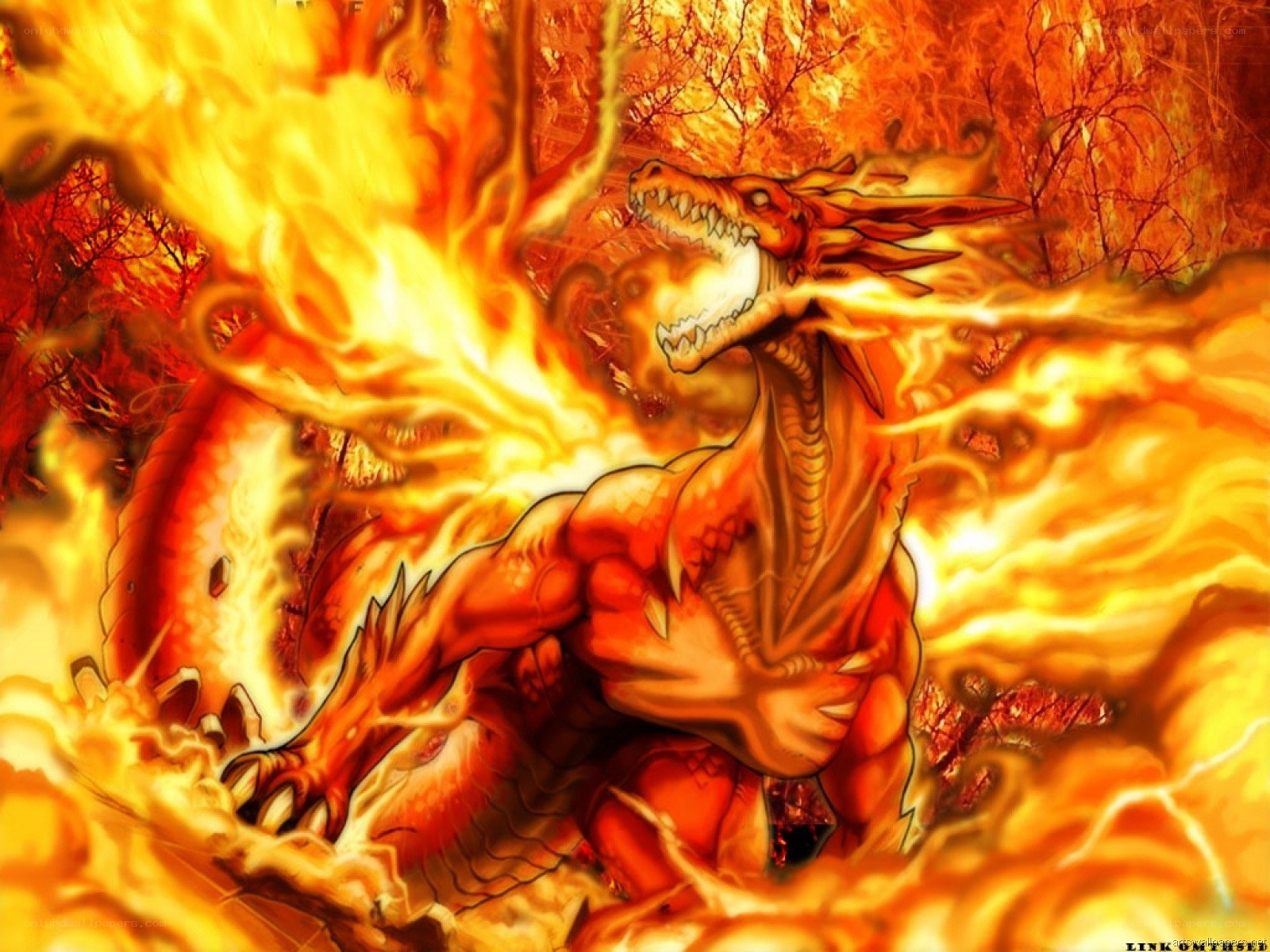 fire dragon in flames