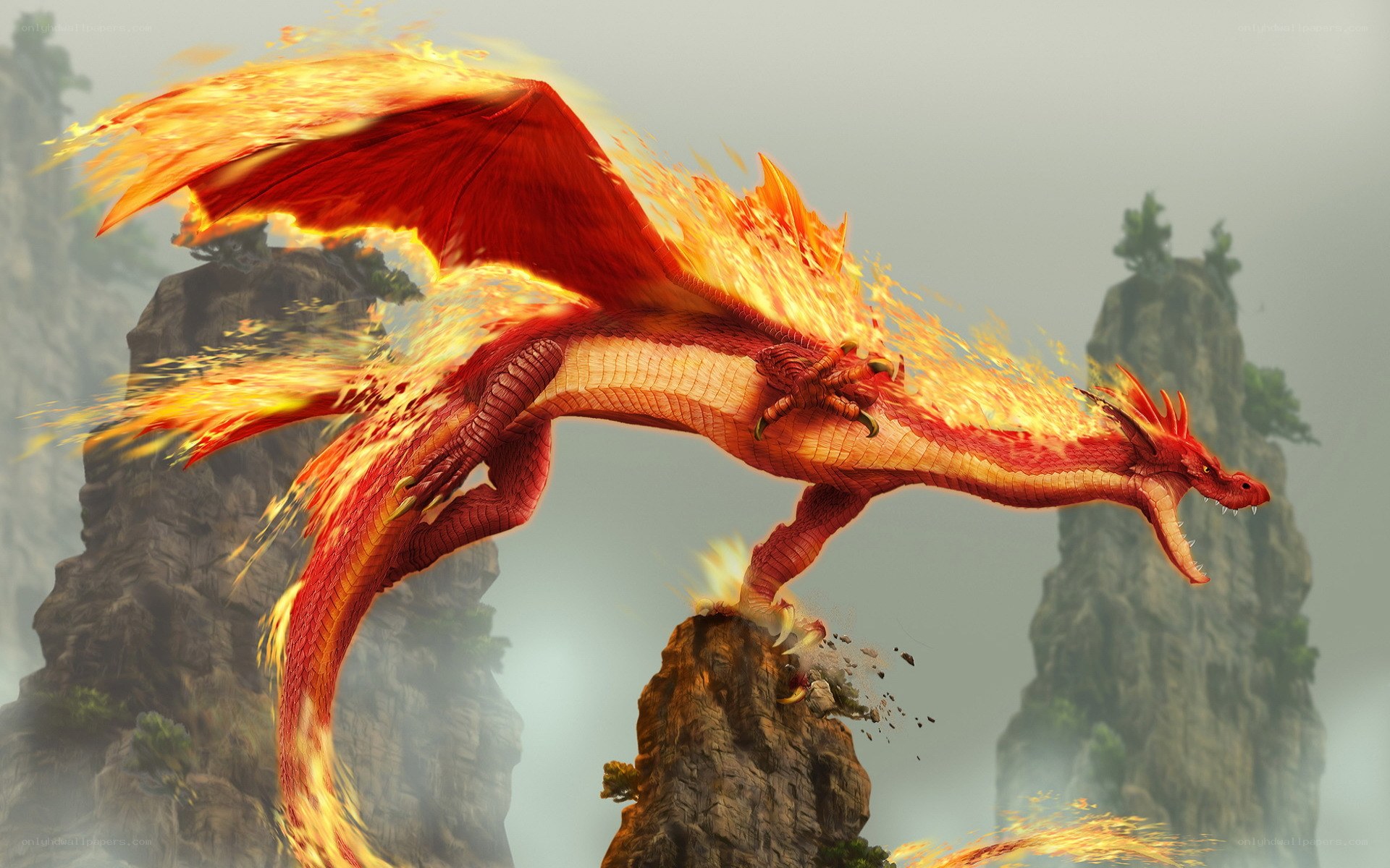 fire dragon on a cliff