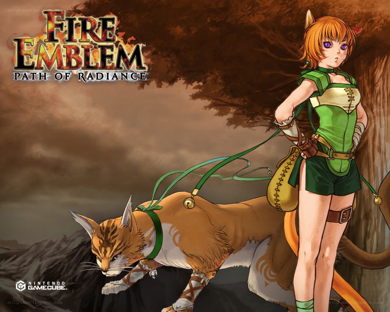 Fire Emblem: Path of Radiance artwork
