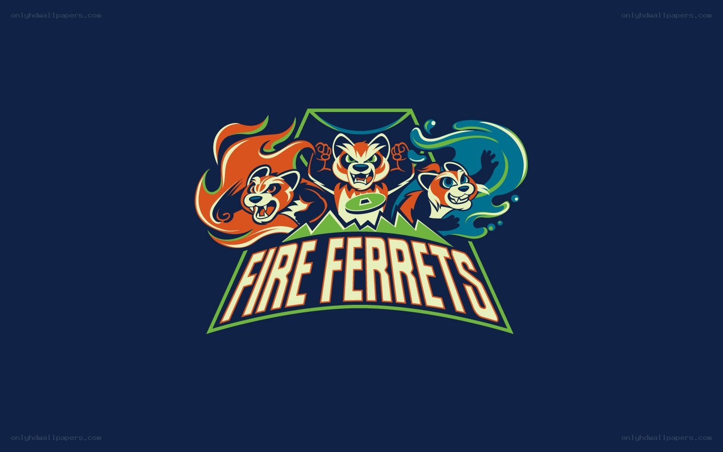Fire Ferrets team logo