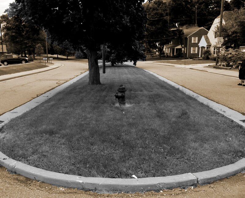 Fire Hydrant in Median