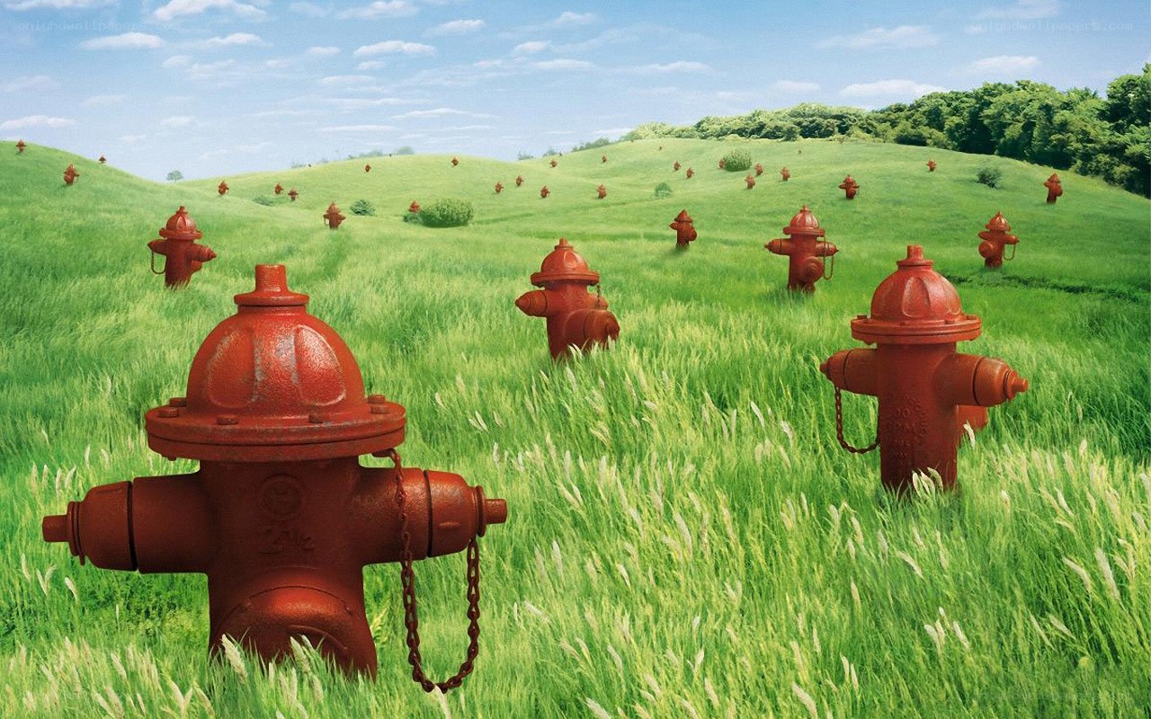 Fire hydrants in a green field