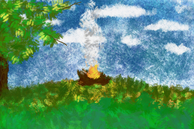 Fire in a Forest