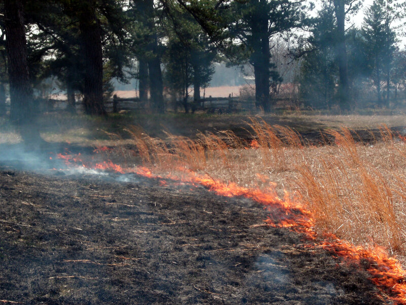 Fire in a Grassy Field