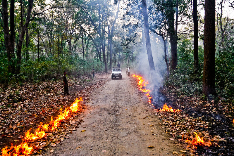 Fire on Forest Road