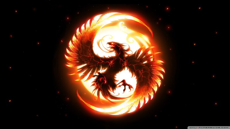 Fire Phoenix Bird — Orange, Dramatic