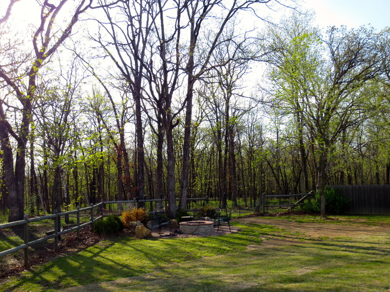 Fire Pit in Backyard