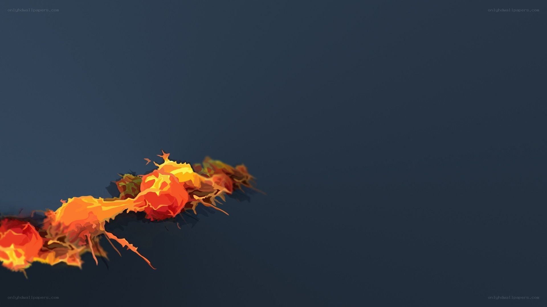 fire trail on dark background