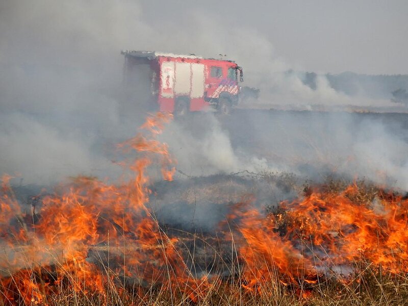 Fire Truck in Field Fire