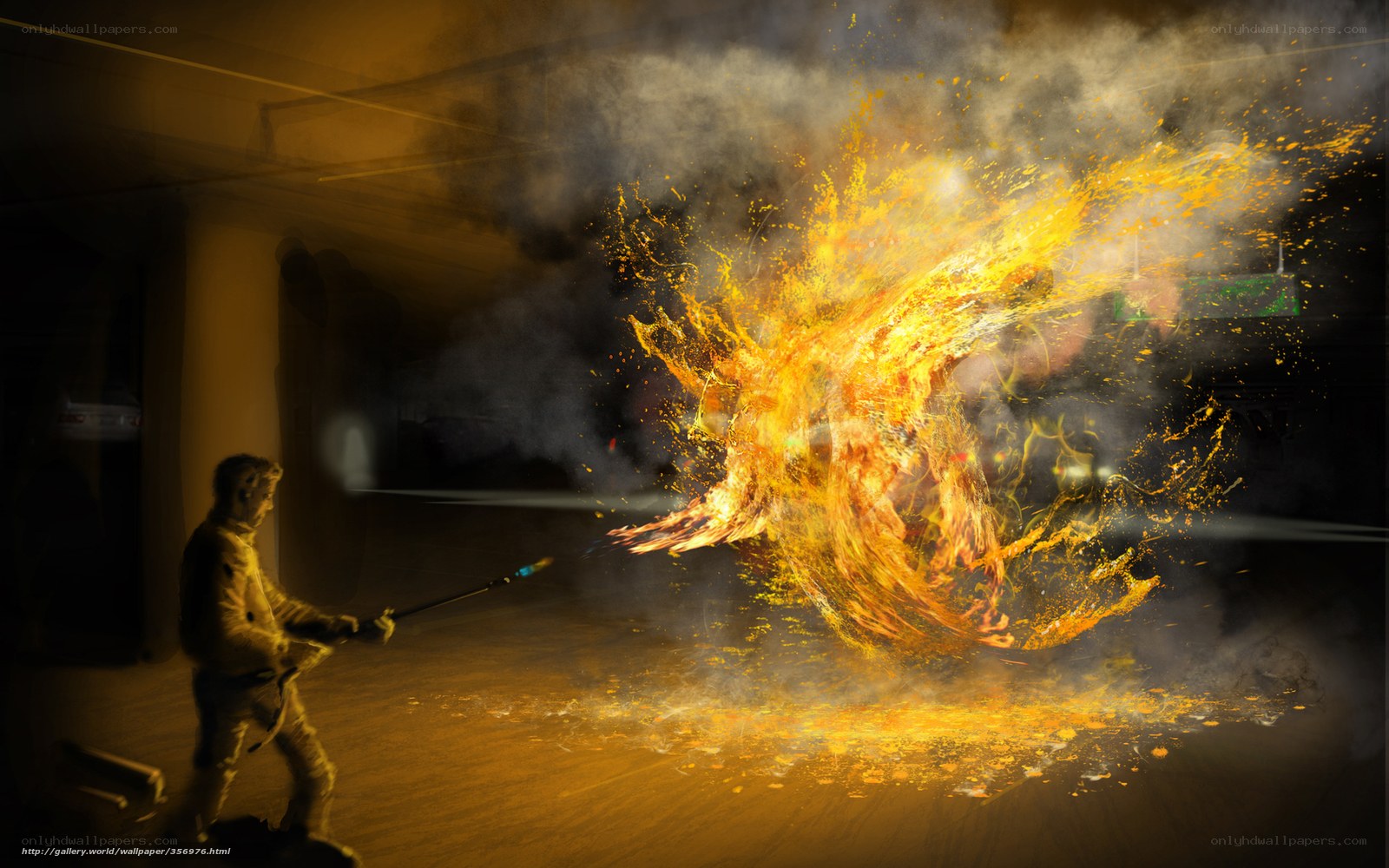 Fireball explosion in garage