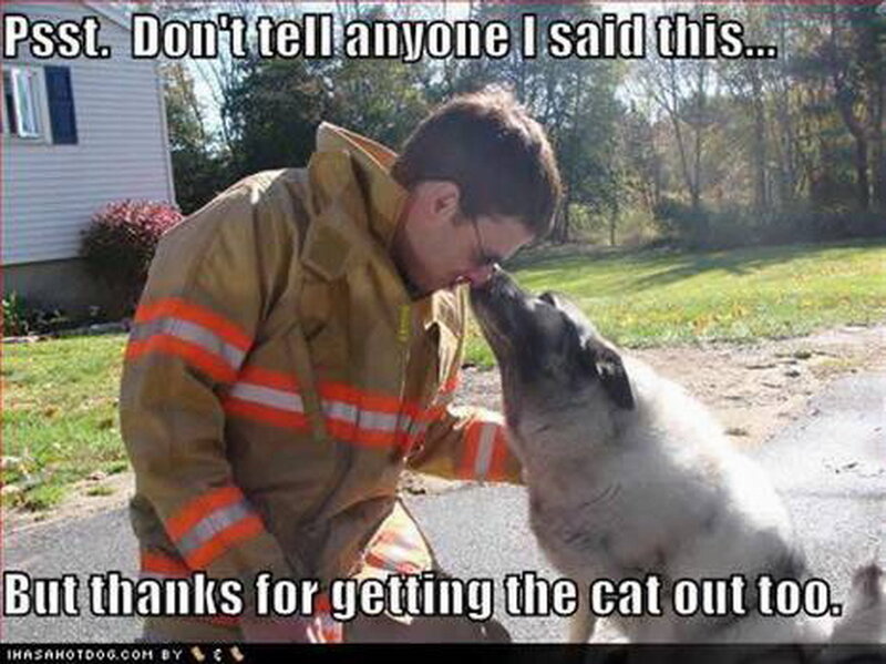 Firefighter and Dog